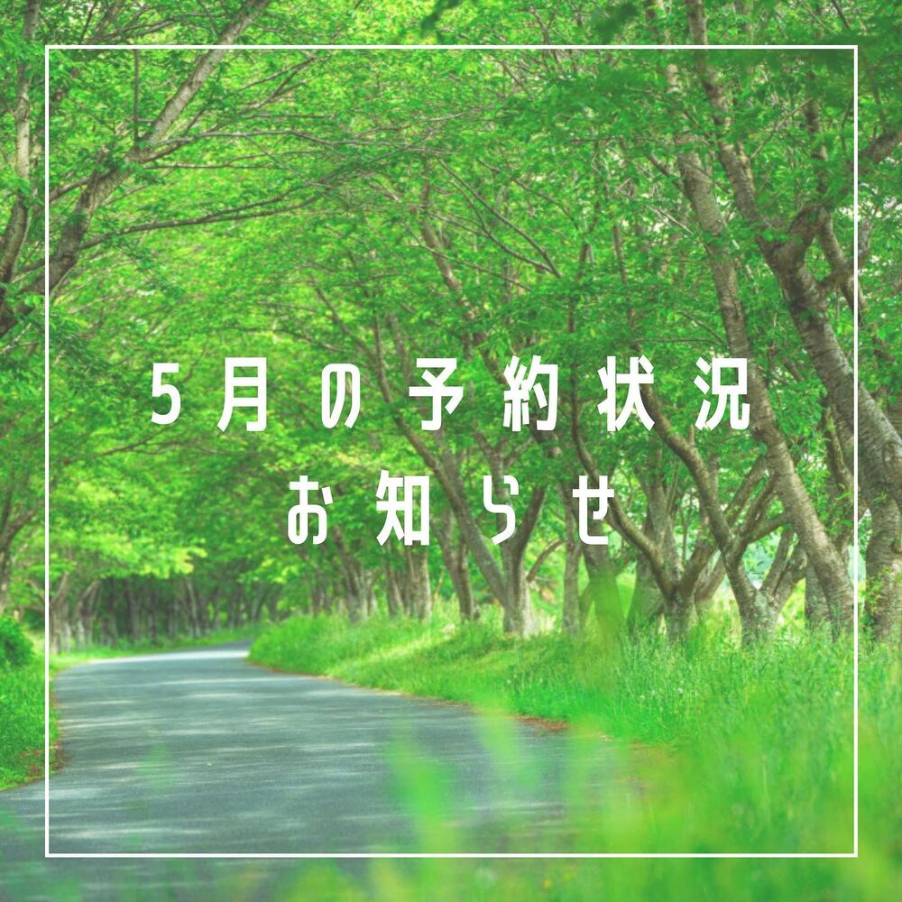 画像1381