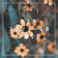 画像1411
