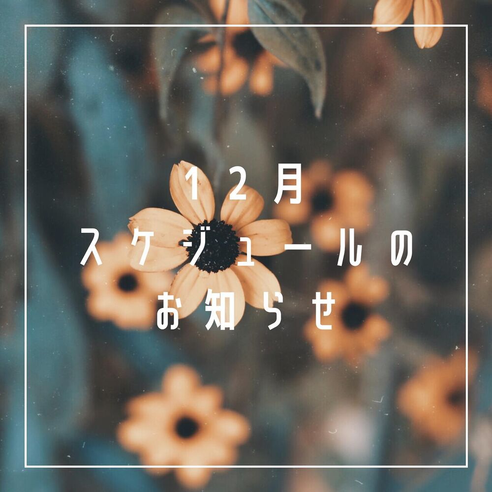 画像1411