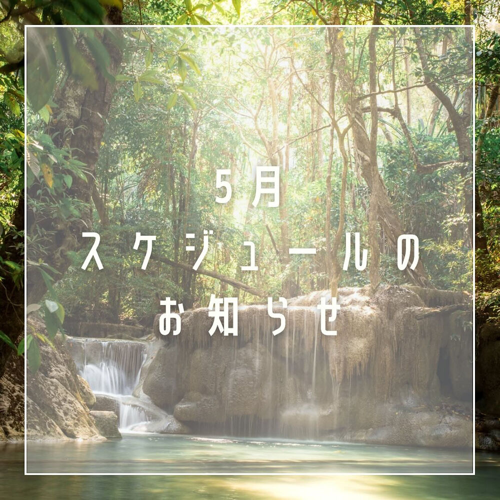 画像1515